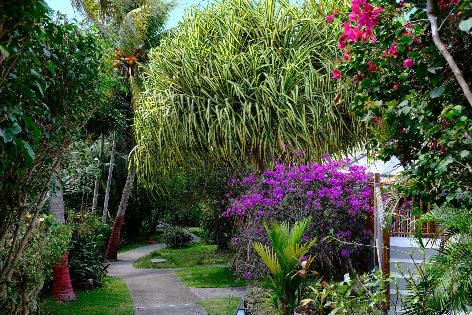 Villa Nid Kreyol à Sainte-Anne  Extérieur photo